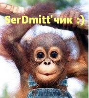 SerDmitt