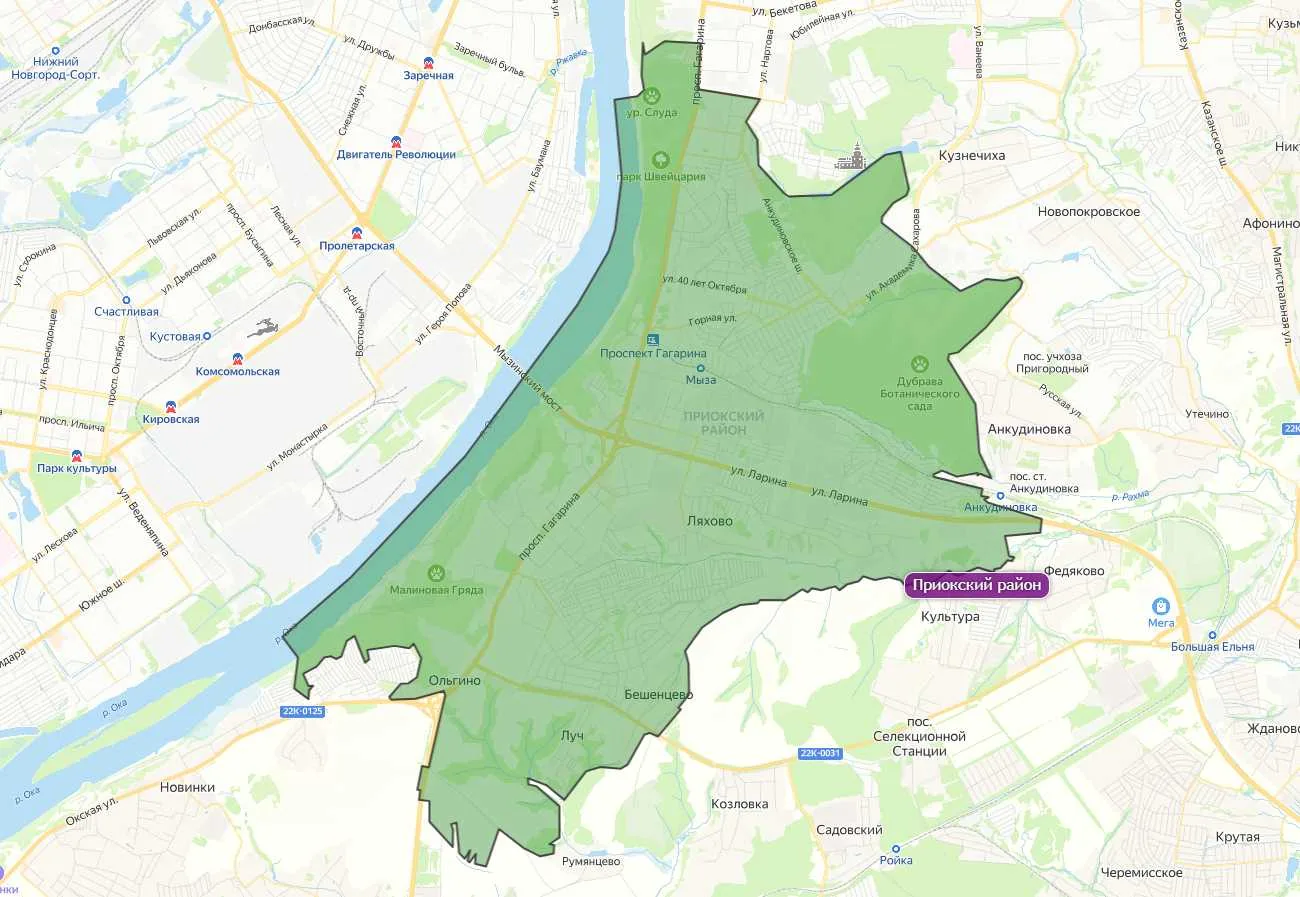 Территория Приокского района Нижнего Новгорода