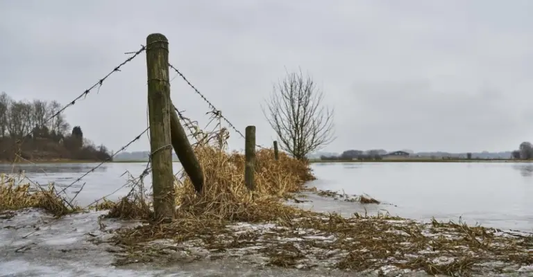 Песков сообщил о том, что Путина информируют о происходящем в зонах затопления Песков сообщил о том, что Путина информируют о происходящем в зонах затопления