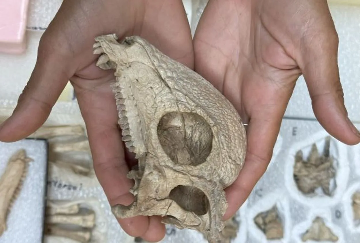 Фото: Alfio Alessandro Chiarenza