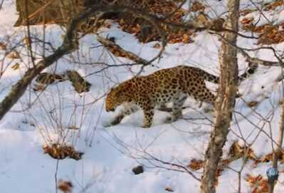 Скриншот 20260211 191330