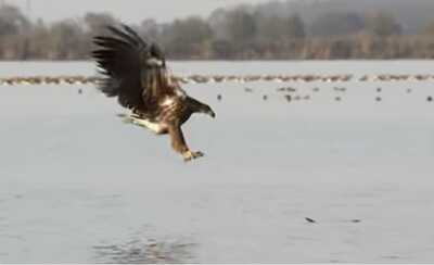 Скриншот 20260211 200445