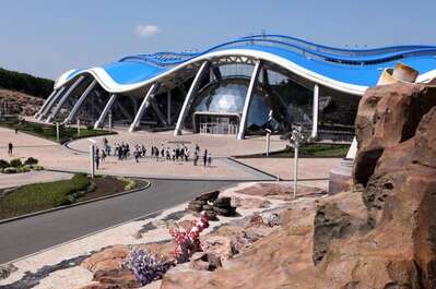 Скриншот 20260216 183550 Скриншот 20260216 183550