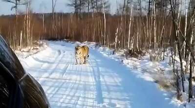 Скриншот 20260221 214828