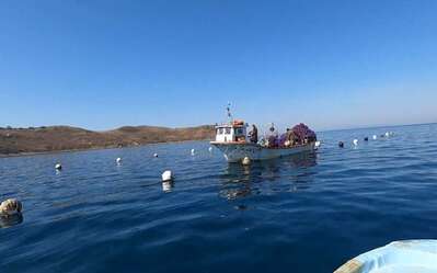 Скриншот 20260224 101432